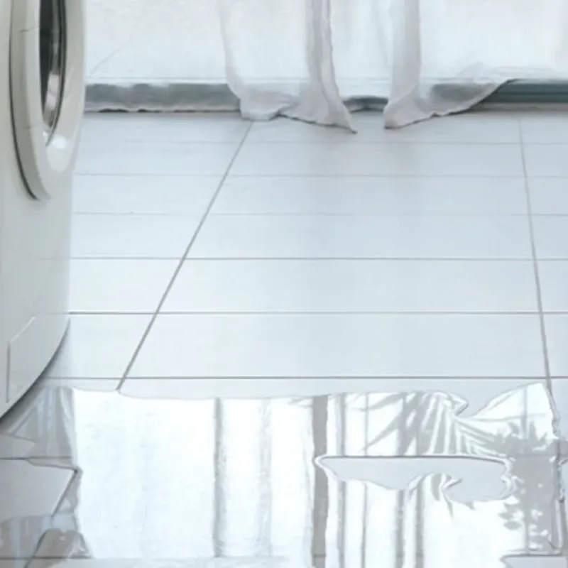 Appliance Leak Cleanup in Homestead, FL