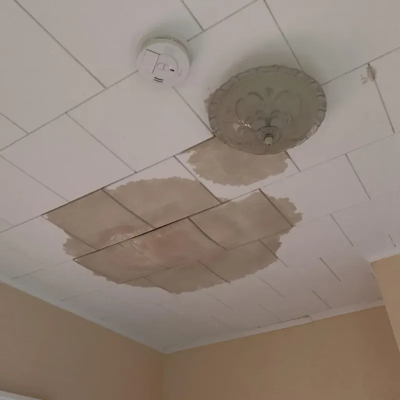 Ceiling Water Damage Repair in Homestead, FL
